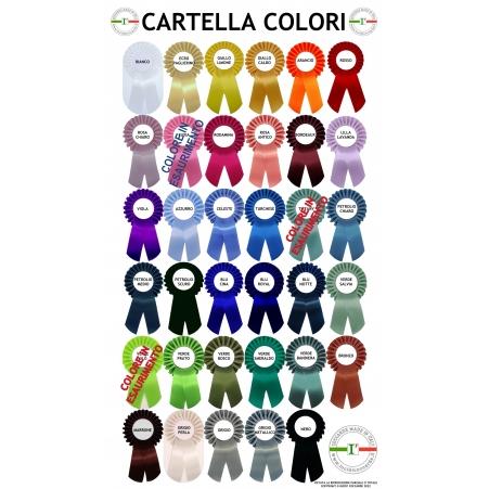 CARTELLA-COLORI-CON-COCCARDE-COLORI-IN-ESAURIMENTO---3.jpg